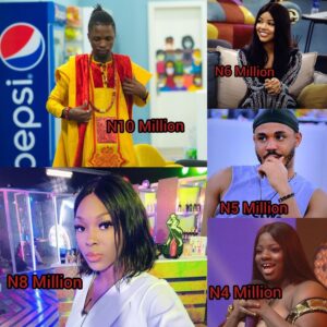 BBNaija: Top 5 Housemates Who Earned More Money This Season 