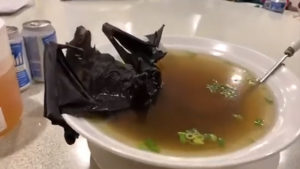 Disgusting Foods in China