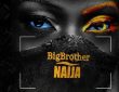 First-Ever BBNaija Documentary (The Fame, the Fans, the Frenzy) Set For Screens November 6