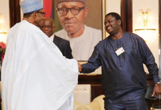 “Honest Nigerians Can See And Feel The Good Things Happening” - Femi Adesina