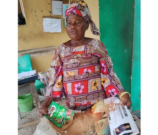 Mother smuggling in Ogun
