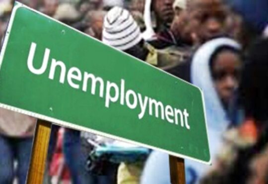NBS: Nigeria’s unemployment rate hits 33.3% — highest ever