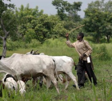 Governors Ban Open Grazing In South-West After Ondo Meeting