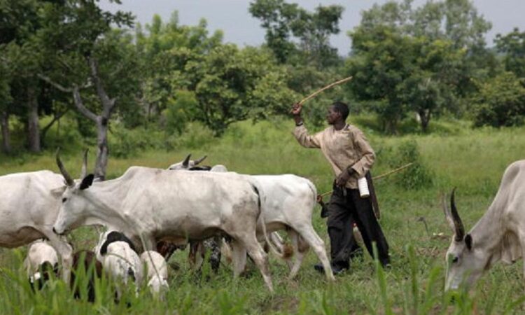 Governors Ban Open Grazing In South-West After Ondo Meeting