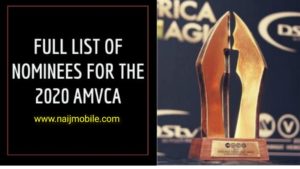 AMVCA 2020 nominees