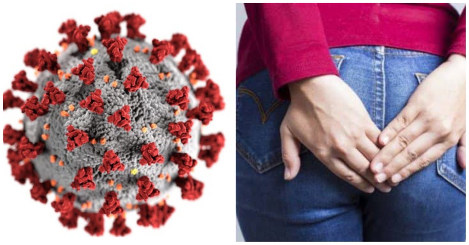 Coronavirus can be spread through FARTS - Australian Doctor » Naijmobile