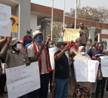 Universities senior staff association begin strike on Friday