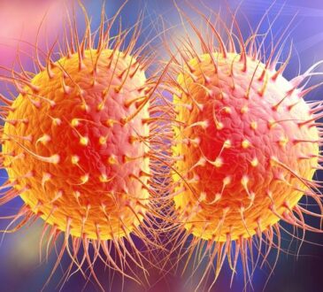 WHO confirms 'Super Gonorrhea' is spreading fast due to COVID-19