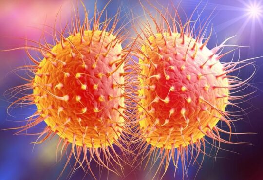 WHO confirms 'Super Gonorrhea' is spreading fast due to COVID-19