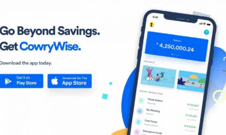 How To Withdraw Money From Cowrywise