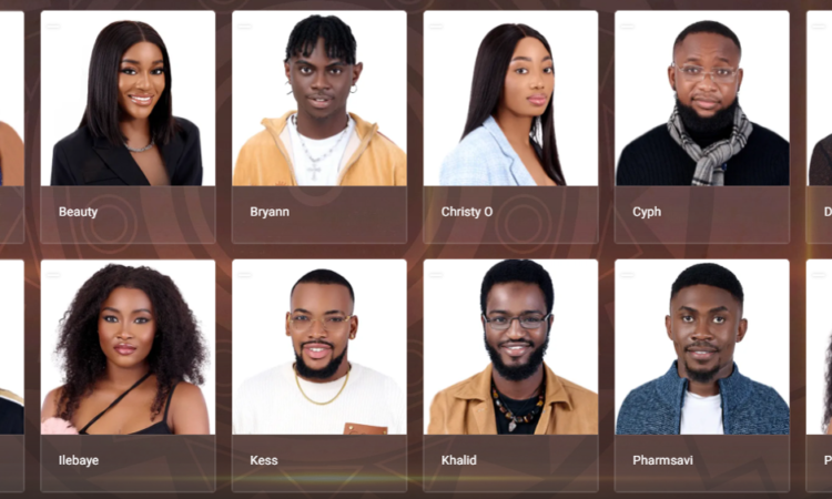 BBNaija Level Up Housemates