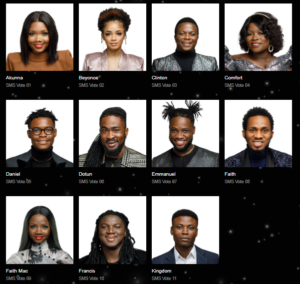 Nigerian Idol 2021 Voting