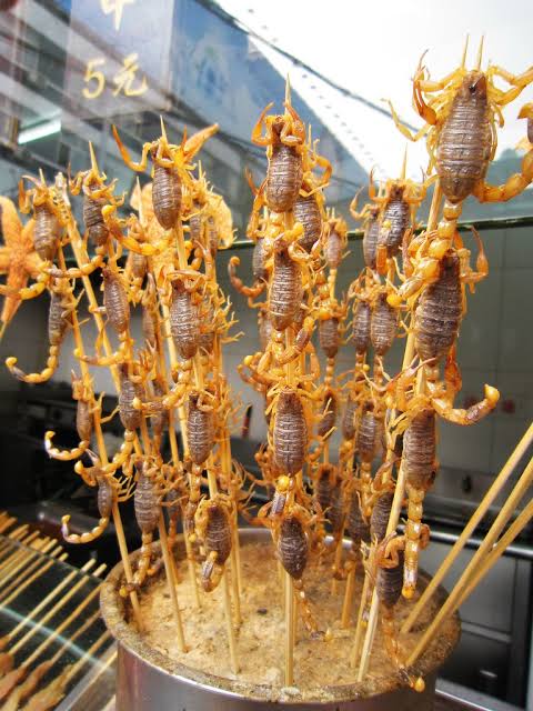 top-5-disgusting-foods-you-will-only-see-in-china-naijmobile