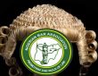 There Is No Constitutional Authority To Support FG’s Twitter Ban, Nigerian Bar Association Weighs In