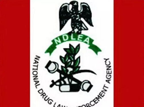 NDLEA Nationwide Recruitment 2019