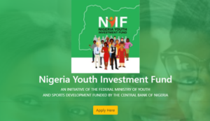 Requirements and How to Apply for Nigeria Youth Investment Fund Application