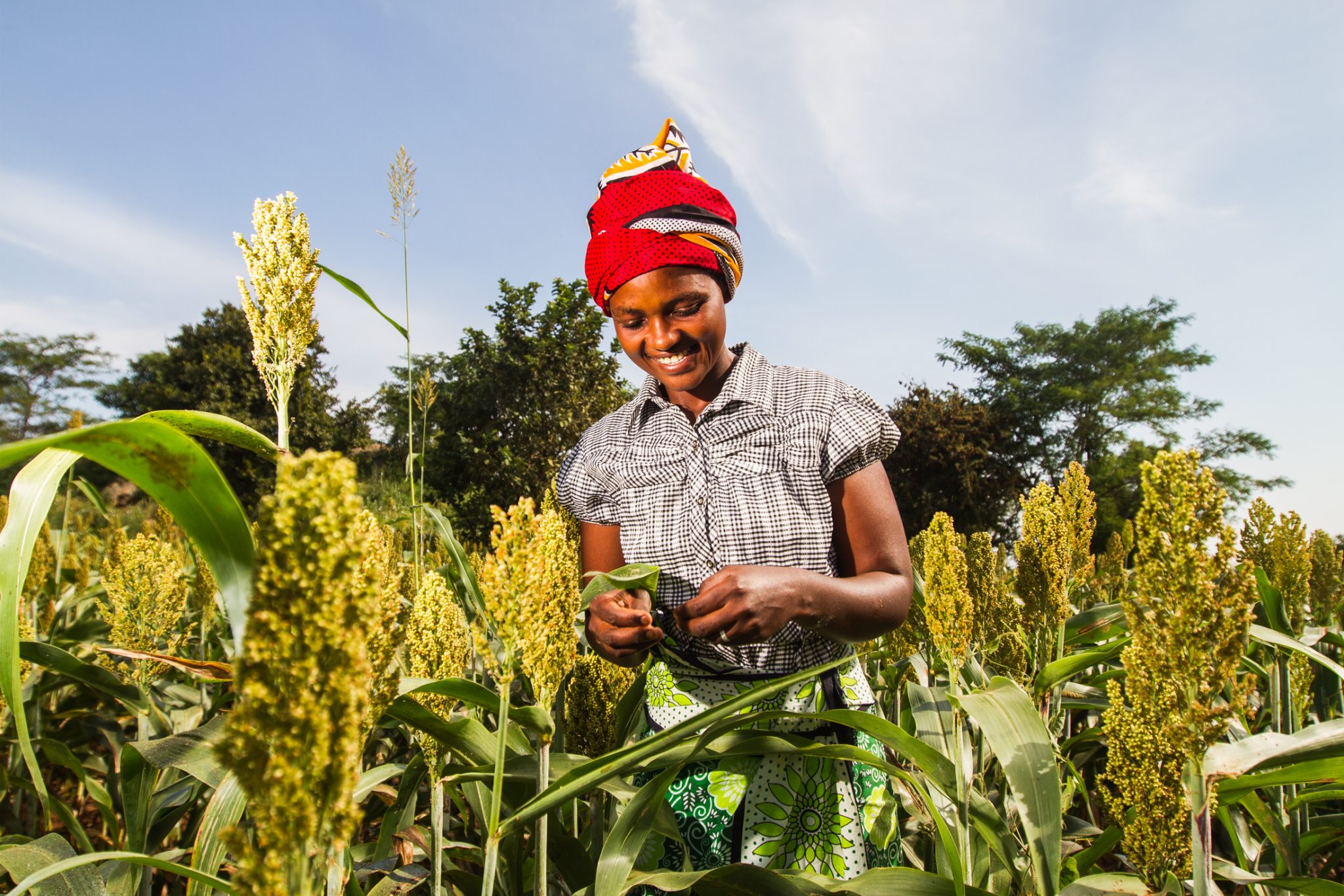 Youth Farm Lab Application